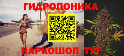 крисы Ливны