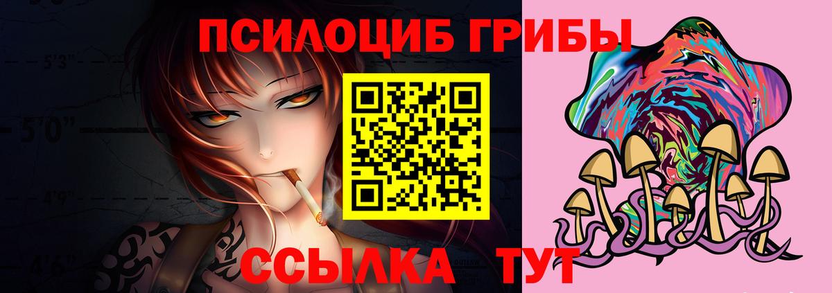 Зеленогорск  Псилоцибиновые грибы мухоморы  Вход с VPN 